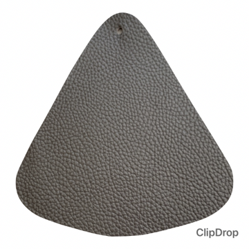 Image de Spessorato Brun cod. 307